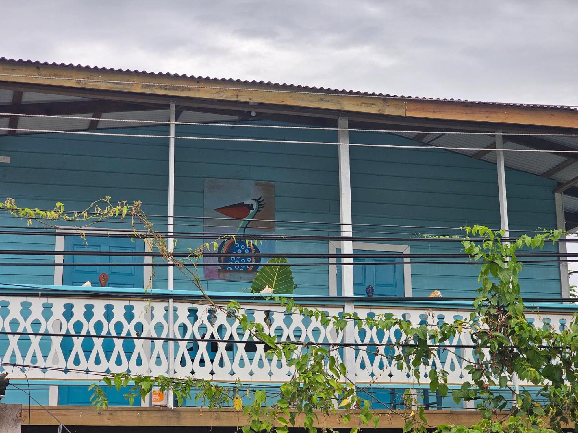 Casa Pelicano Bocas Town Luaran gambar